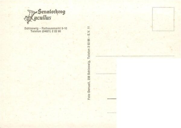 Schleswig Schlei Erfde Rathaus Markt Senatorkrog Lucullus Gastraeume Bar – Bild 2