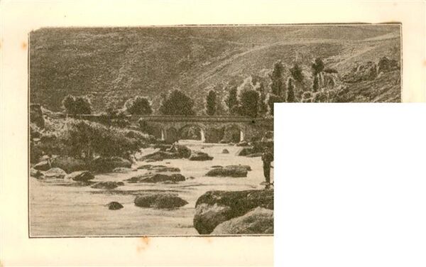 Carthage  Karthago Carthago Tunesie Maison Lavigerie accupee par les Soeurs et l – Bild 2
