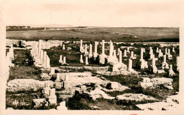 Carthage  Karthago Carthago Tunesie Basilique de Damous el Karita