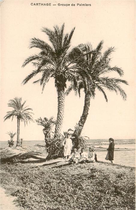 Carthage  Karthago Carthago Tunesie Groupe de Palmiers