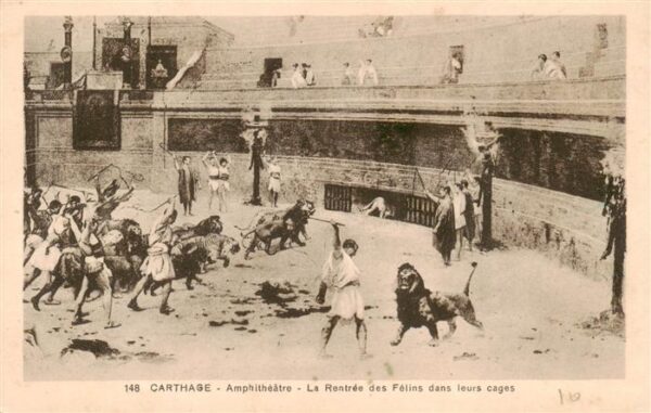Carthage  Karthago Carthago Tunesie Amphitheatre La Rentree des Felins dans leur