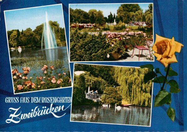 Zweibruecken Pfalz Rosengarten Fontaene Park Schwanenteich