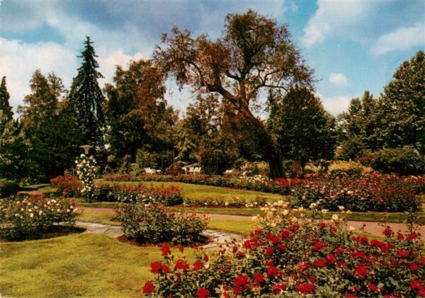 Zweibruecken Pfalz Rosengarten