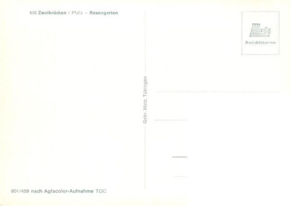 Zweibruecken Pfalz Rosengarten – Bild 2