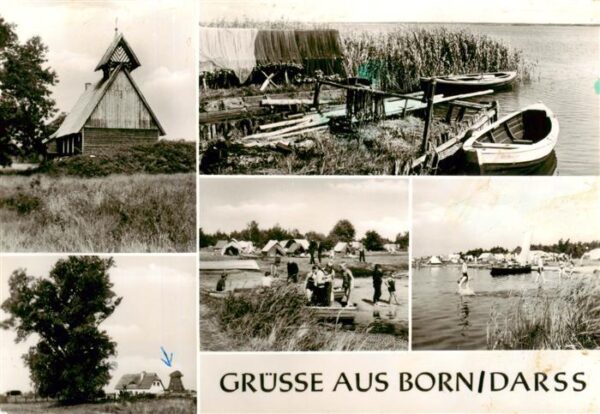 Born Darss Teilansichten Bootssteg Strand