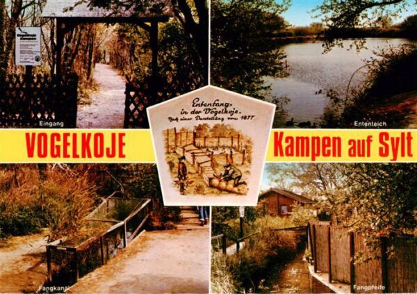 Kampen  Sylt Vogelkoje Eingang Ententeich Fangkanal Fangpfeife