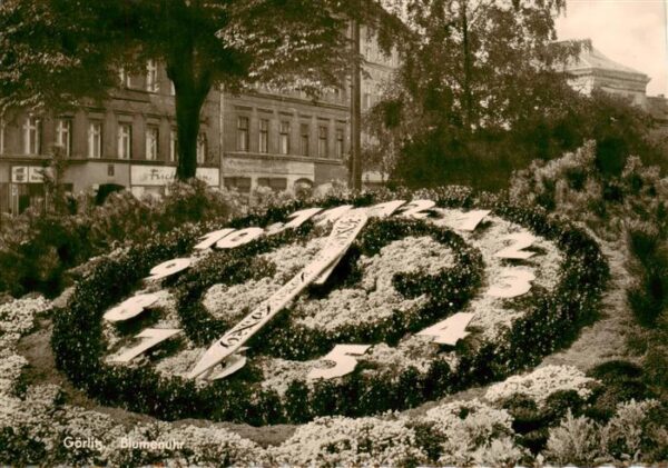 Goerlitz  Sachsen Blumenuhr