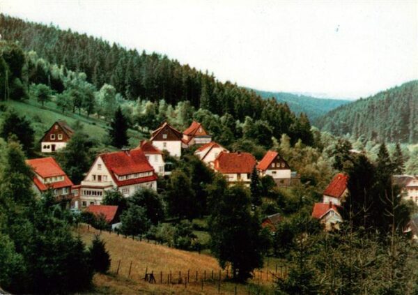 Bad Grund Panorama