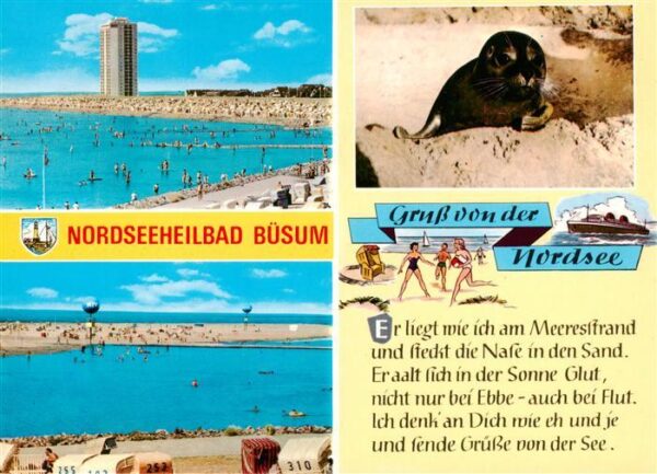 Buesum Nordseebad Strandpartien Robbe