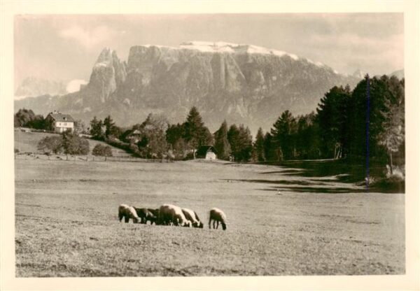 Schlern Sciliar 2561m Bolzano Dolomiti IT Panorama