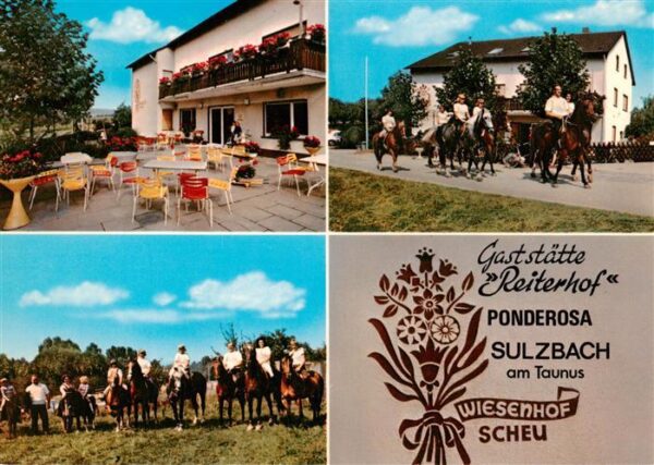Sulzbach Taunus Gaststaette Reiterhof Wiesenhof Ponderosa Terrasse Ausritte