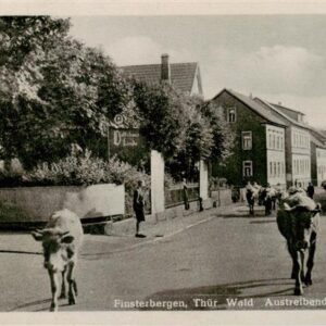 Finsterbergen Bad Austreibende Kuhherde