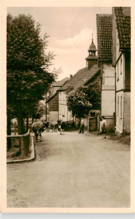 Engelsbach Viehauftrieb