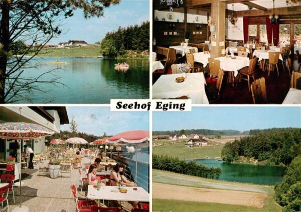 Eging  See Bayerischer Wald Restaurant Seehof Eging Gaststube Terrasse Panorama