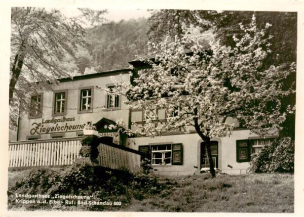 Krippen Bad Schandau Landgasthaus Ziegelscheune