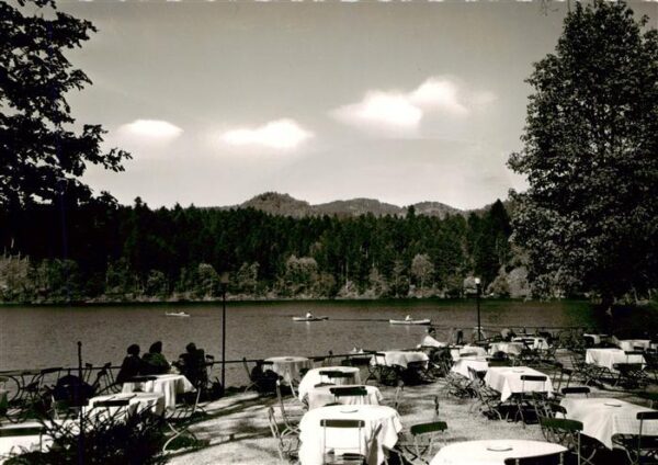 Bad Saeckingen Bergsee-Restaurant und Café