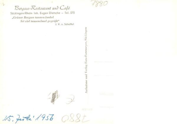 Bad Saeckingen Bergsee-Restaurant und Café – Bild 2