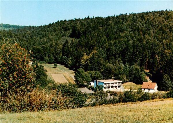 Oberlohrgrund Hotel Restaurant Pension Immenhof