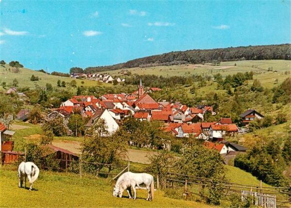 Weibersbrunn Panorama