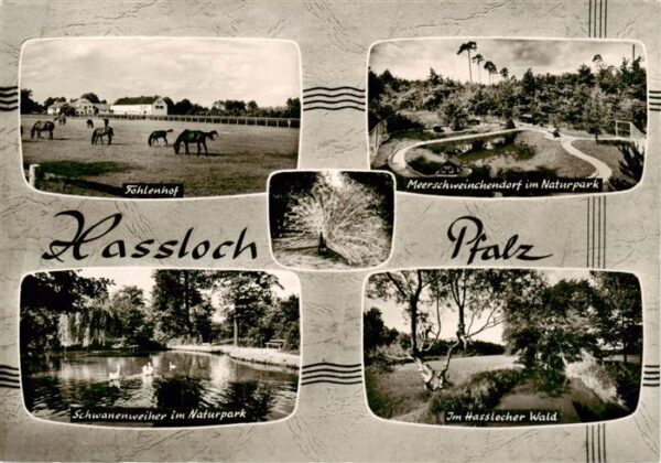 Hassloch Pfalz Fohlenhof Meerschweinchendorf im Naturpark Schwanenweiher Im Hass