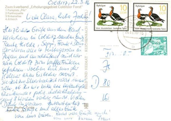 Colditz Erholungsgebiet Colditzer Forst Parkplatz Pilz Parthequelle Birkenallee – Bild 2